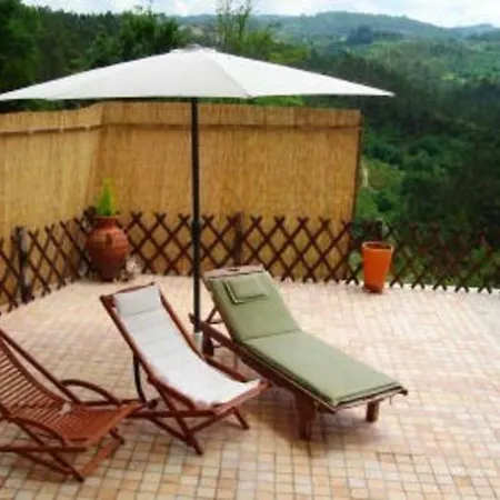 Casa Rustica Com Minigolf E Piscina, Sever Do Vouga By Mystay 西弗都沃加